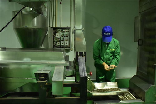 石油工人心向黨 服務人民辦實事——新材料技術研發(fā)助力能源產(chǎn)業(yè)高質(zhì)量發(fā)展